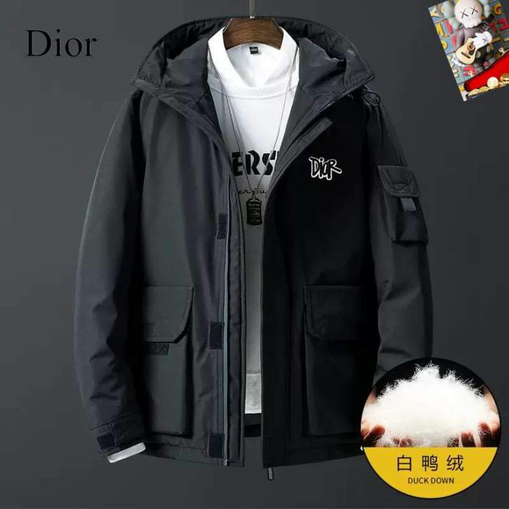 Picture of Dior Down Jackets _SKUDiorM-3XL25tr8737775
